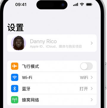 岚皋appleID维修服务iPhone设置中Apple ID显示为灰色无法使用 