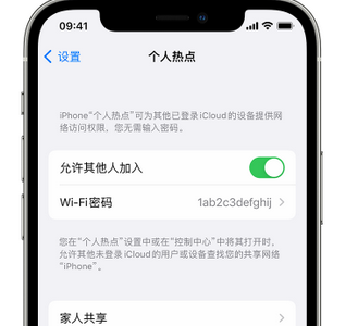 岚皋apple服务站点分享iPhone上个人热点丢失了怎么办