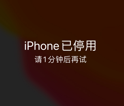 岚皋苹果手机维修分享:iPhone 显示“不可用”或“已停用”怎么办？还能保留数据吗？ 