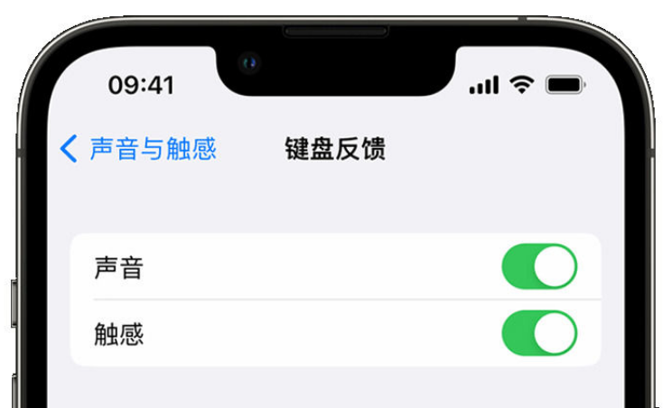 岚皋苹果手机维修分享iPhone 14触感键盘使用方法 