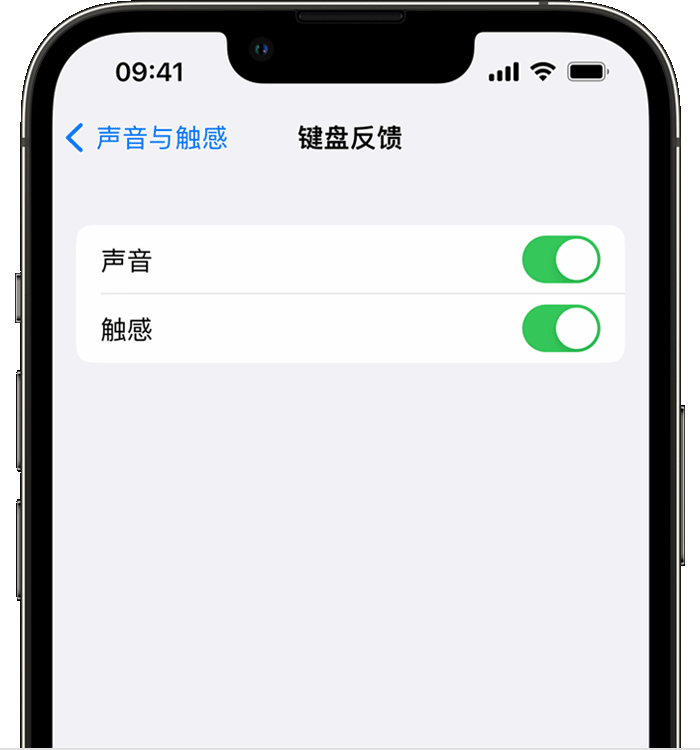 岚皋苹果14维修店分享如何在 iPhone 14 机型中使用触感键盘 