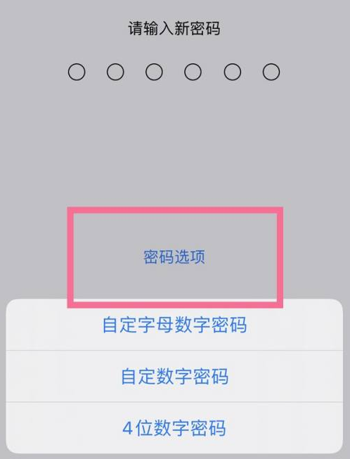 岚皋苹果14维修分享iPhone 14plus设置密码的方法 