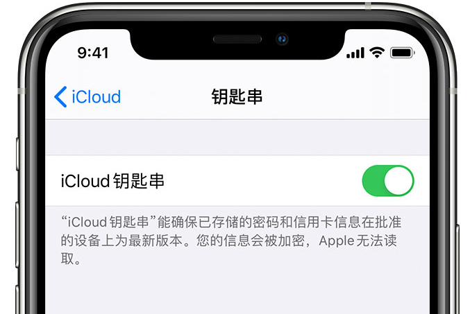 岚皋苹果手机维修分享在 iPhone 上开启 iCloud 钥匙串之后会储存哪些信息 