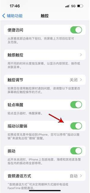 岚皋苹果手机维修分享iPhone手机如何设置摇一摇删除文字 