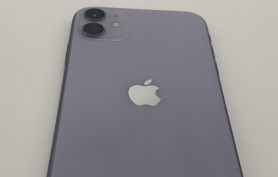 岚皋苹果11系统维修分享iPhone11手机系统崩溃无法开机如何解决 